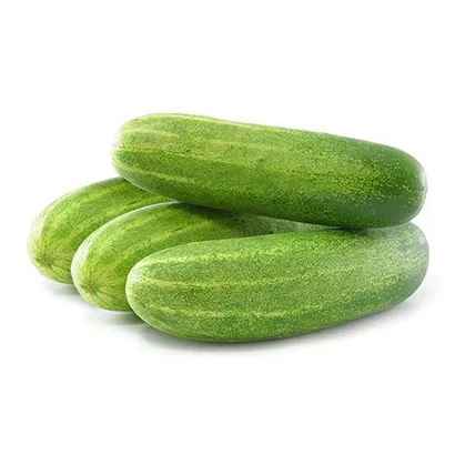 Cucumber Hybrid